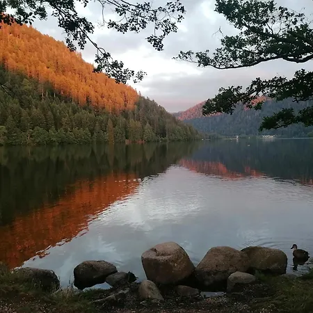 Cosy Avec Terrasse Au Coeur Du Village Lejlighed *