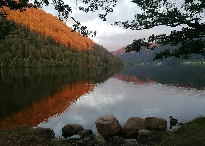 Cosy Avec Terrasse Au Coeur Du Village 公寓 *