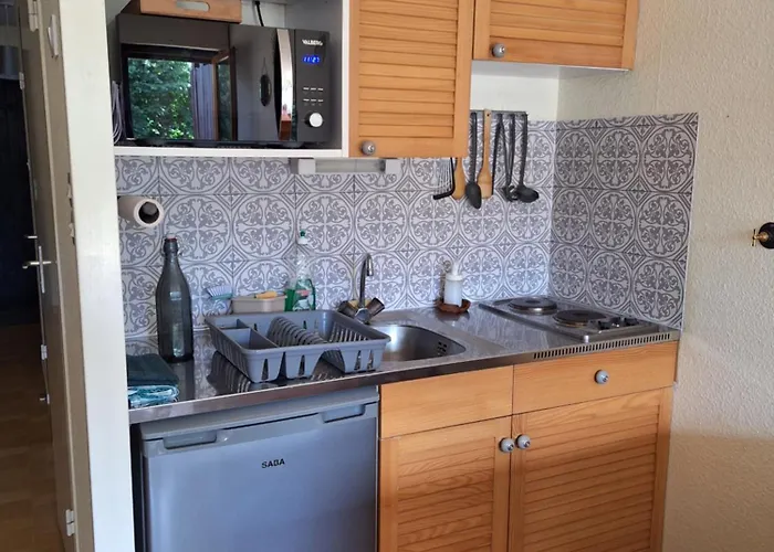 公寓 Cosy Avec Terrasse Au Coeur Du Village 克松吕-隆日梅